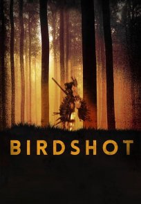 საფანტი / BIRDSHOT