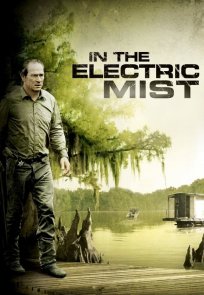 ელექტრონულ ნისლში / In the Electric Mist