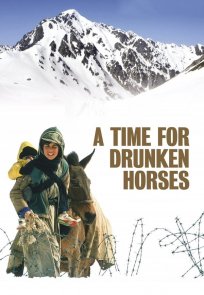 მთვრალი ცხენების დრო / A Time for Drunken Horses