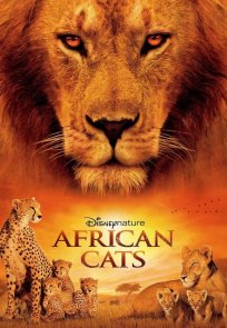 აფრიკული კატები / AFRICAN CATS