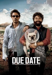 დანიშნული დრო / Due Date