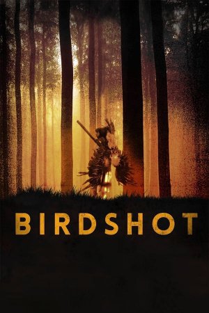 საფანტი / BIRDSHOT