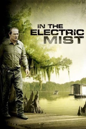 ელექტრონულ ნისლში / In the Electric Mist