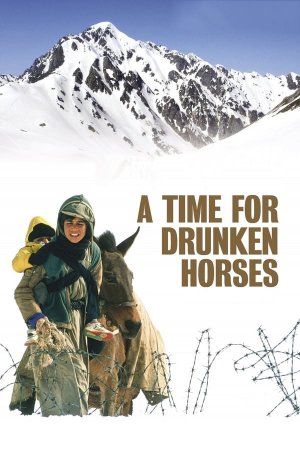 მთვრალი ცხენების დრო / A Time for Drunken Horses
