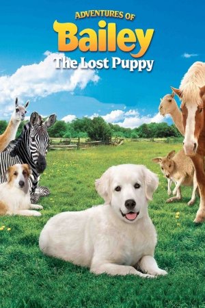 ბაილის თავგადასავლები: შობის გმირი / Adventures of Bailey: The Lost Puppy