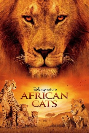 აფრიკული კატები / AFRICAN CATS