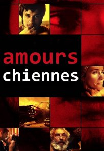 ძუკნა სიყვარული / Amores perros