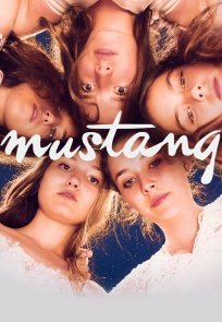 მუსტანგი / Mustang