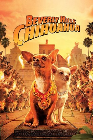 ჩიხუახუა ბევერლი – ჰილზიდან / Beverly Hills Chihuahua