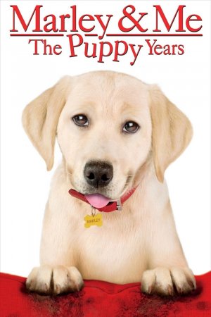 მარლი და მე / Marley and Me