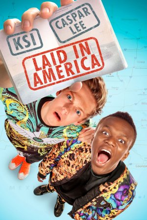 წარმოებულია ამერიკაში / Laid in America