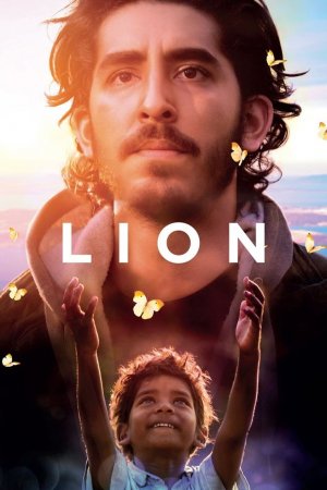 ლომი / LION