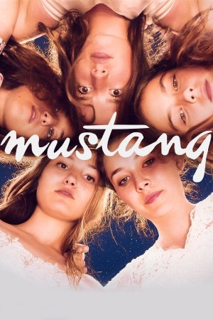 მუსტანგი / Mustang