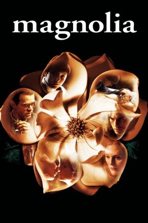 მაგნოლია / Magnolia