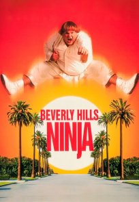 ნინძა ბევერლი ჰილზიდან / Beverly Hills Ninja