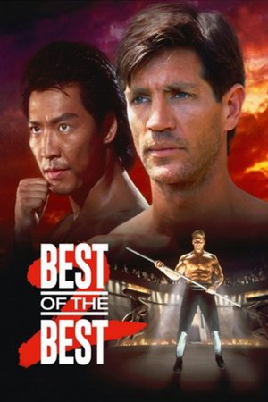 საუკეთესო საუკეთესოთა შორის 2 / Best of the Best 2