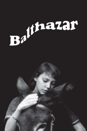 ასეთია ცხოვრება ბალთაზარ / Au Hasard Balthazar