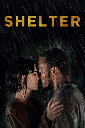 თავშესაფარი / Shelter