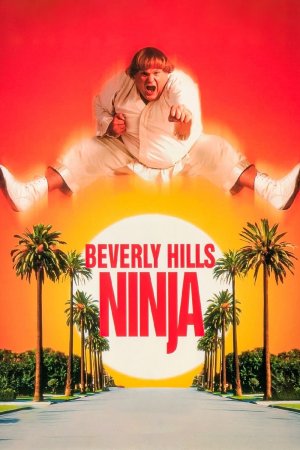 ნინძა ბევერლი ჰილზიდან / Beverly Hills Ninja