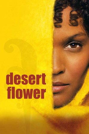 უდაბნოს ყვავილი / Desert Flower
