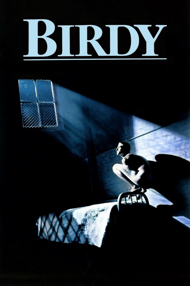 ჩიტუნა / Birdy
