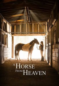 ცხენი სამოთხიდან / A Horse from Heaven (A Champion Heart)