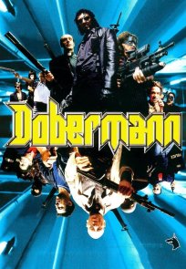 დობერმანი / Dobermann