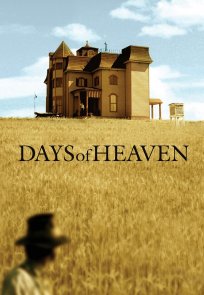 მკის დღეები / Days of Heaven