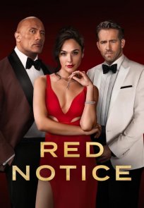 წითელი ცირკულარი / RED NOTICE