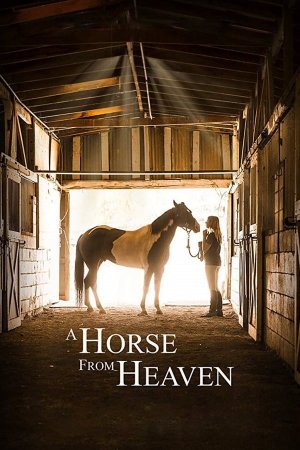 ცხენი სამოთხიდან / A Horse from Heaven (A Champion Heart)