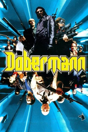 დობერმანი / Dobermann