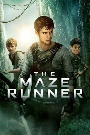 ლაბირინთში მორბენლები / The Maze Runner