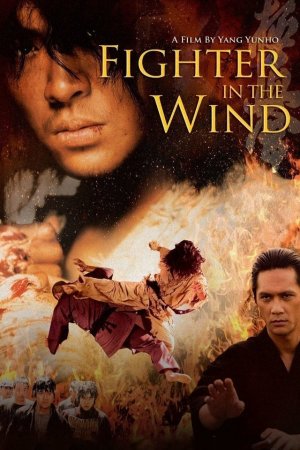 ქარში მებრძოლი / Fighter In The Wind (Baramui paiteo)