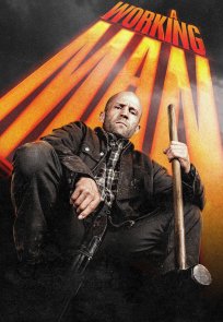 პროფესიონალი, A Working Man