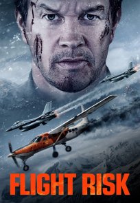 სახიფათო რეისი / Flight Risk