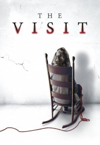 ვიზიტი / The Visit