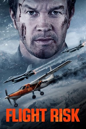 სახიფათო რეისი / Flight Risk
