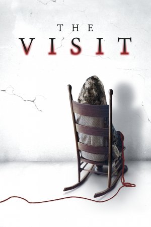 ვიზიტი / The Visit
