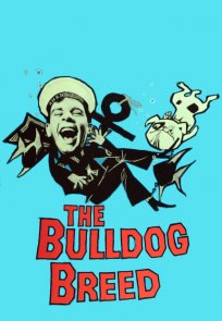 მისტერ პიტკინი ბულდოგის ჯიში, The Bulldog Breed