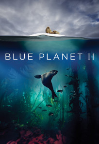 ლურჯი პლანეტა II, Blue Planet II