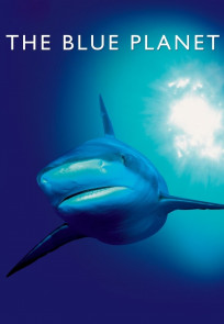 ლურჯი პლანეტა, The Blue Planet