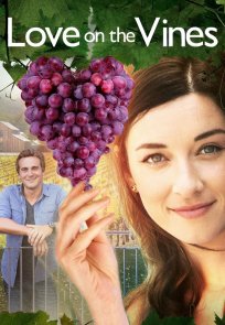 ღვინის სიყვარული, Love On The Vines