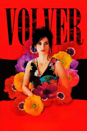 დაბრუნება / Volver