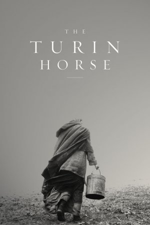 ტურინის ცხენი, The Turin Horse