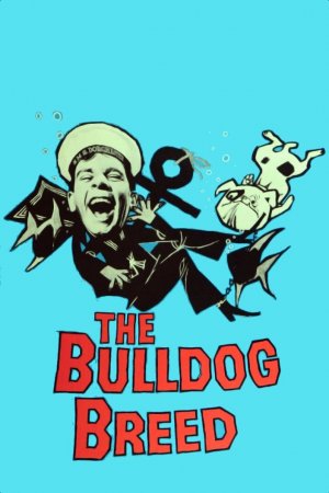 მისტერ პიტკინი ბულდოგის ჯიში, The Bulldog Breed