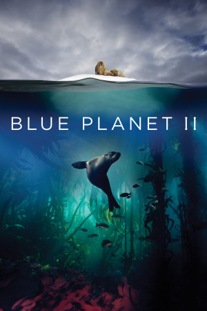 ლურჯი პლანეტა II, Blue Planet II