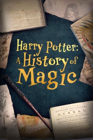 ჰარი პოტერი: მაგიის ისტორია, Harry Potter: A History Of Magic