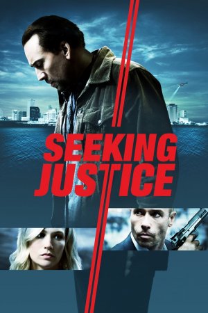 სამართლის ძიებაში / Seeking Justice