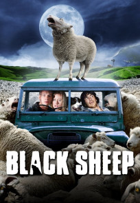 შავი ცხვარი, BLACK SHEEP