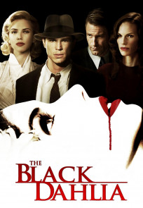 შავი ორქიდეა | The Black Dahlia